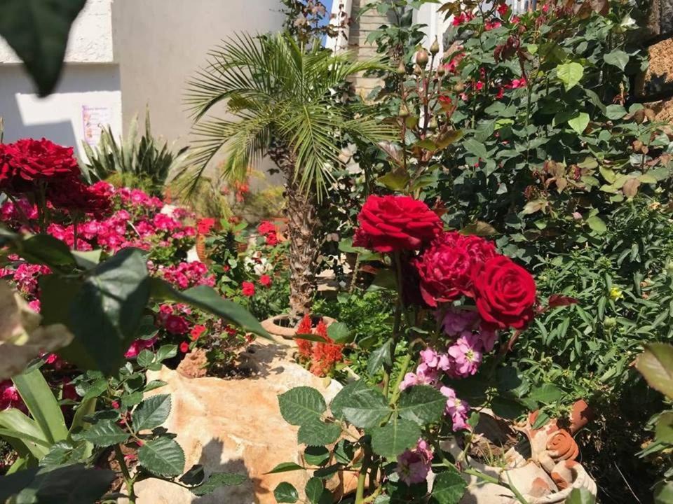 Léntas Athina Residence מראה חיצוני תמונה